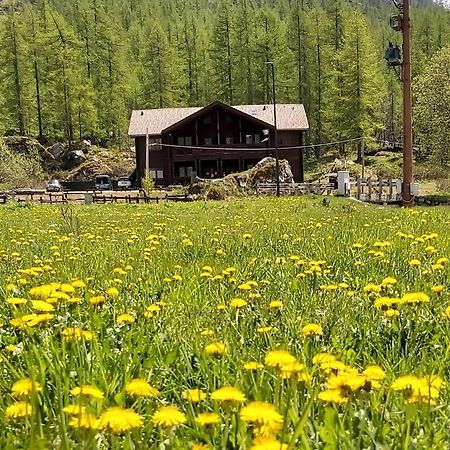 Chalet Rosa Dei Monti Piamprato Dış mekan fotoğraf