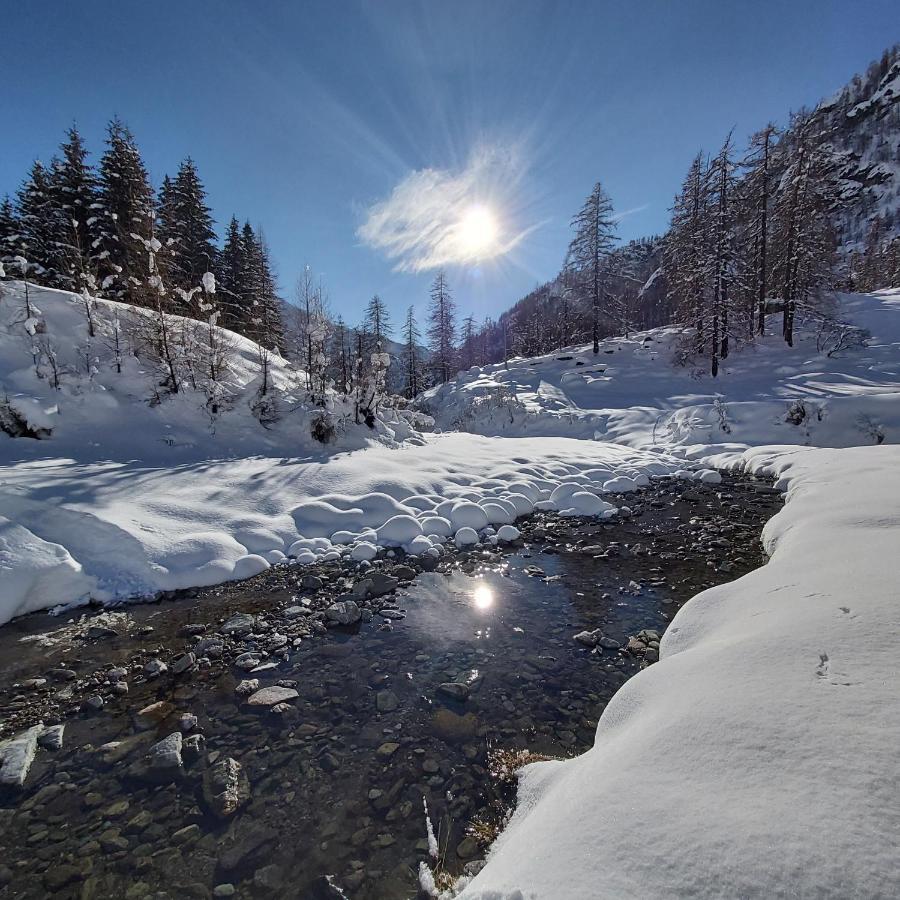 Chalet Rosa Dei Monti Piamprato Dış mekan fotoğraf