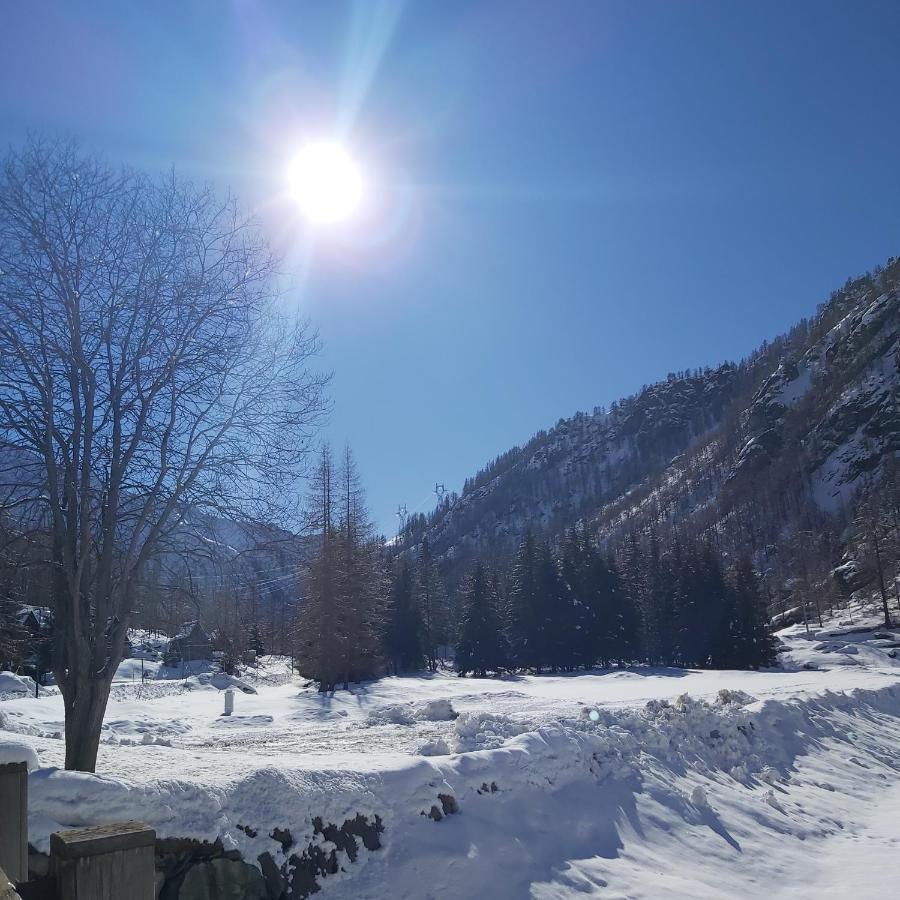 Chalet Rosa Dei Monti Piamprato Dış mekan fotoğraf