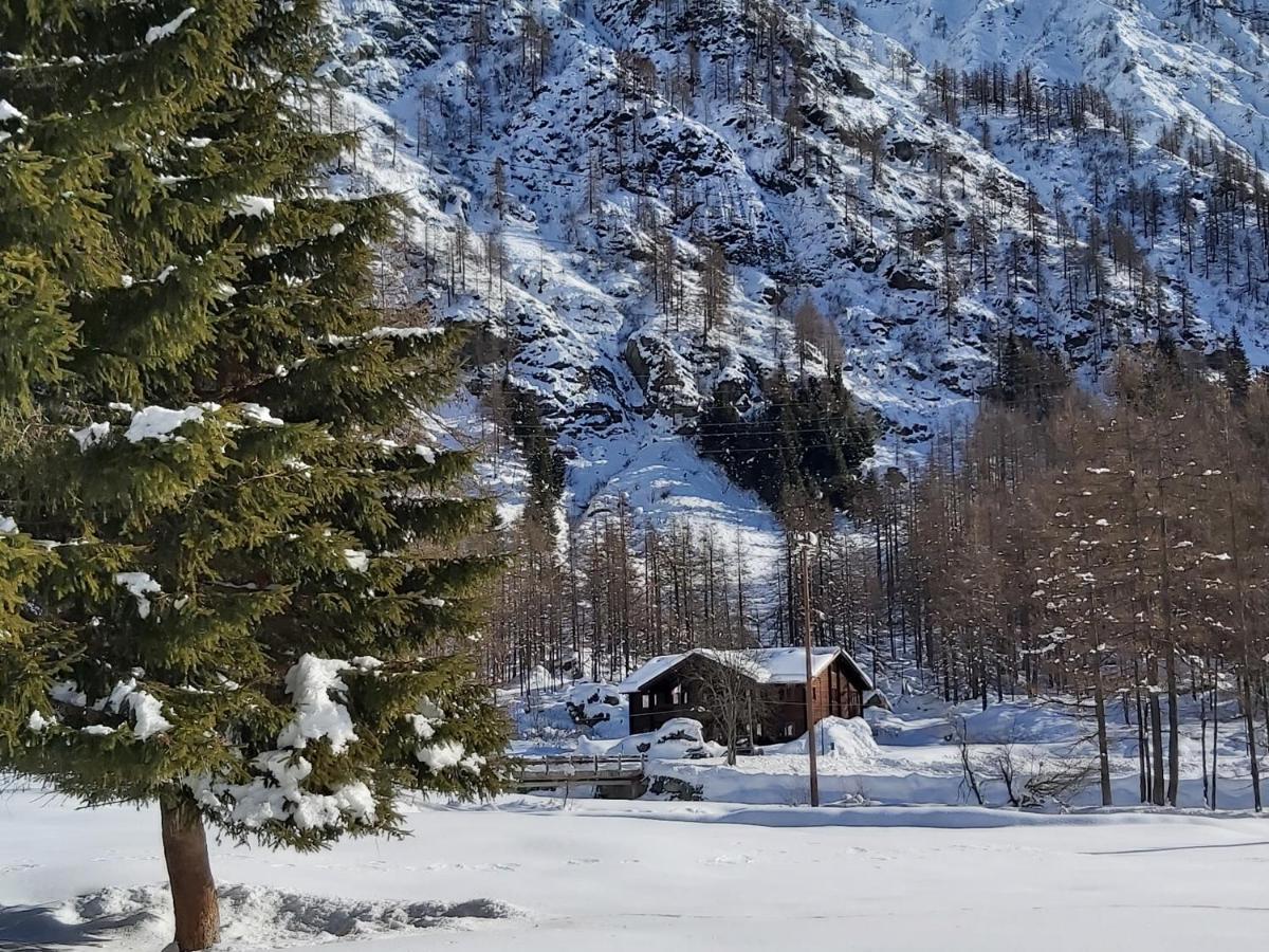 Chalet Rosa Dei Monti Piamprato Dış mekan fotoğraf