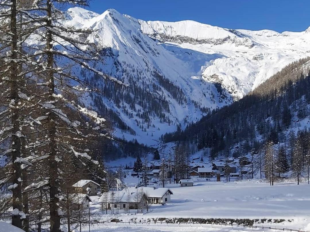 Chalet Rosa Dei Monti Piamprato Dış mekan fotoğraf
