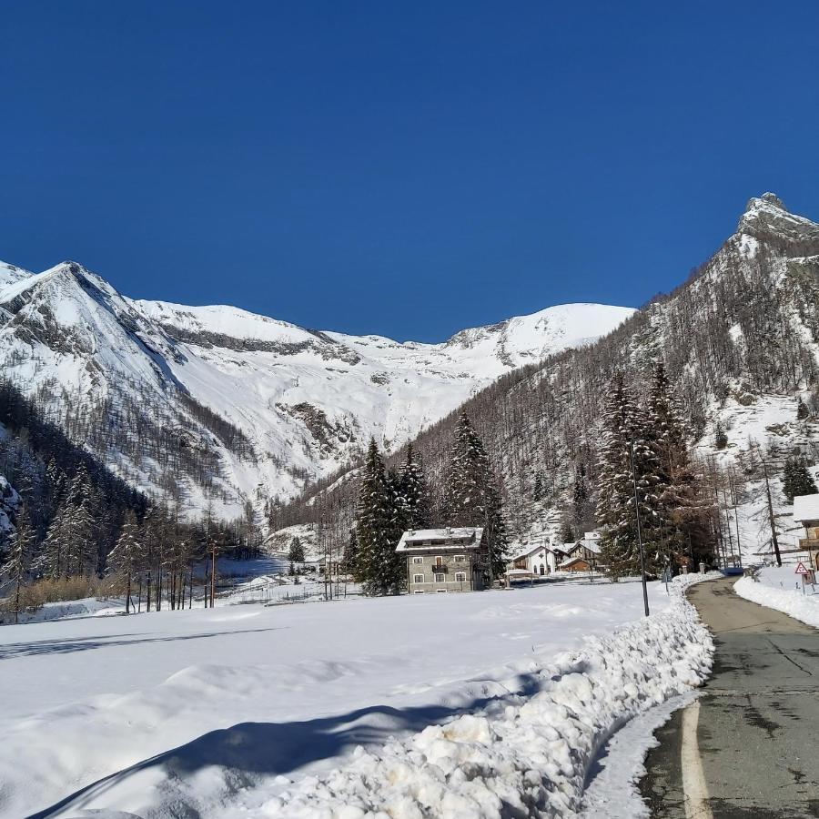 Chalet Rosa Dei Monti Piamprato Dış mekan fotoğraf