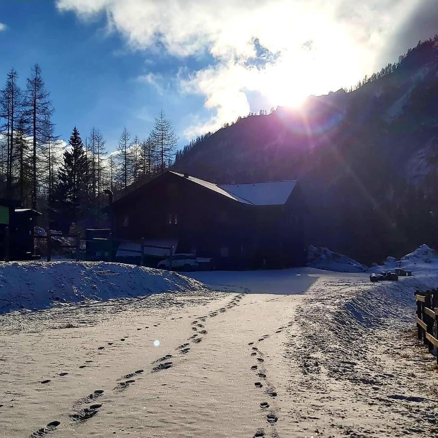 Chalet Rosa Dei Monti Piamprato Dış mekan fotoğraf