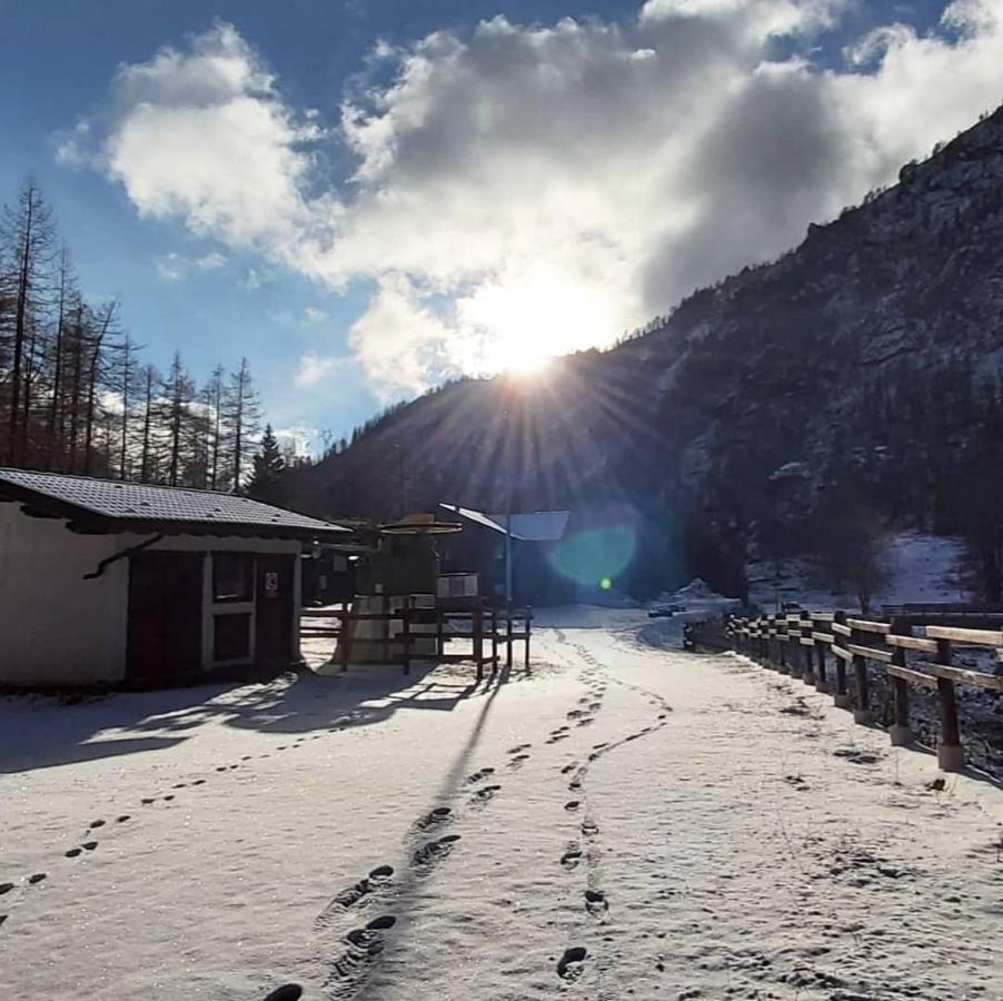 Chalet Rosa Dei Monti Piamprato Dış mekan fotoğraf