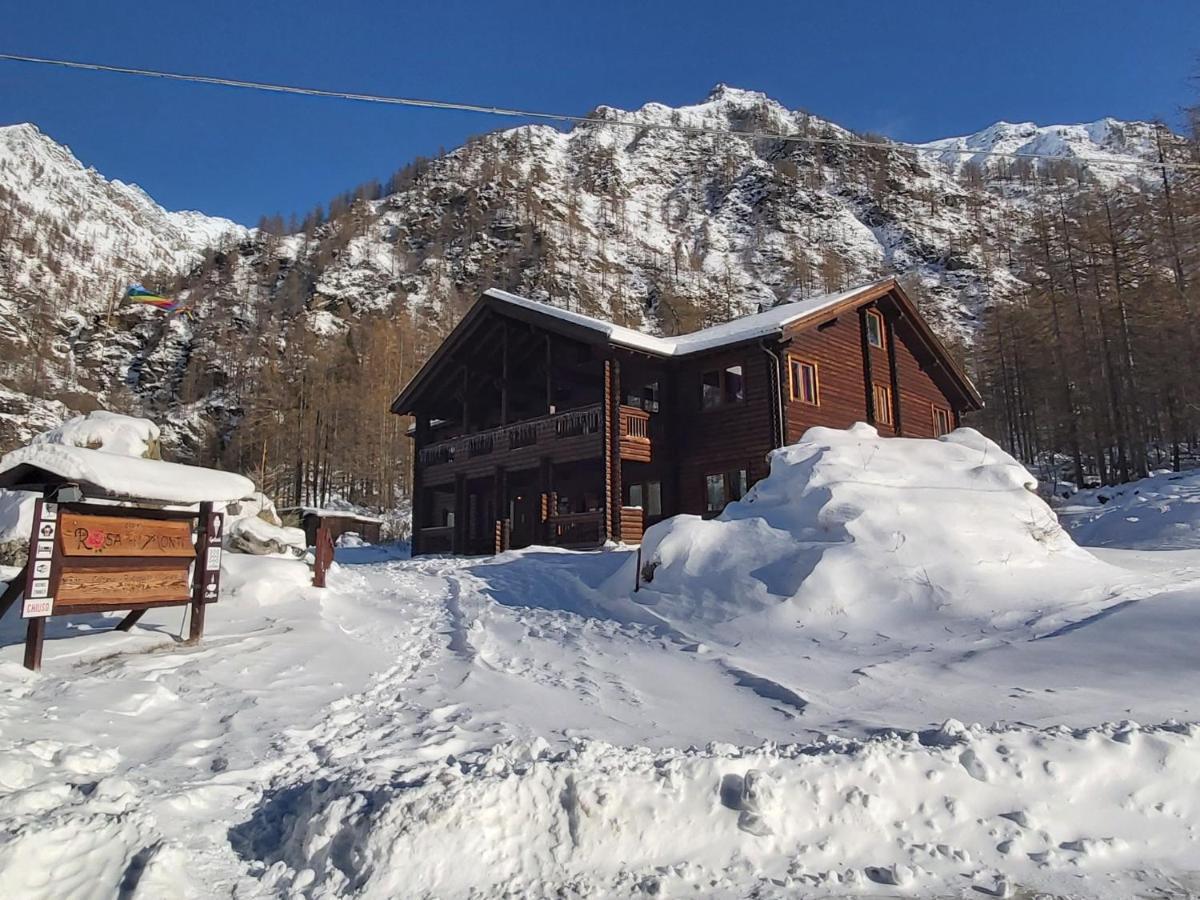 Chalet Rosa Dei Monti Piamprato Dış mekan fotoğraf