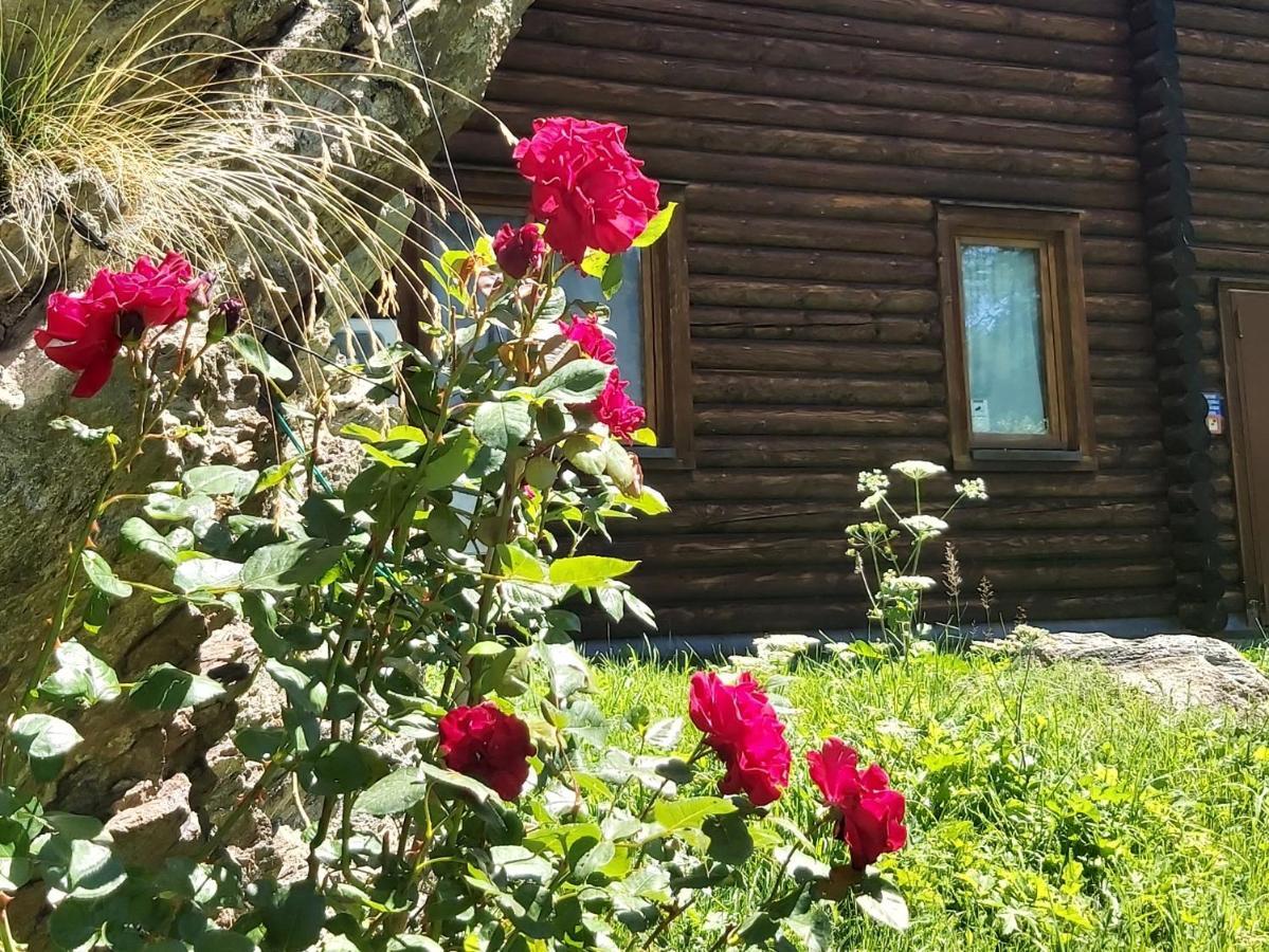 Chalet Rosa Dei Monti Piamprato Dış mekan fotoğraf