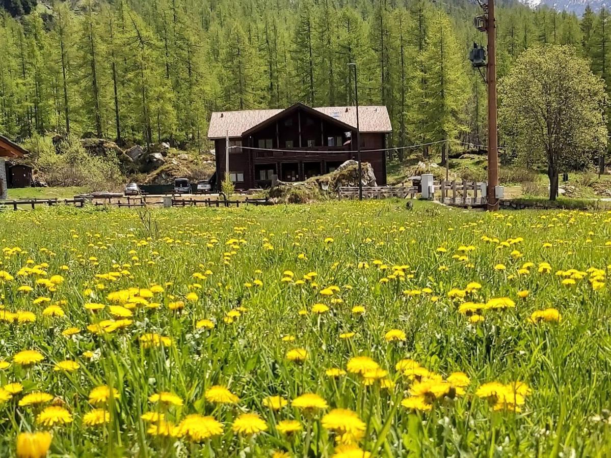 Chalet Rosa Dei Monti Piamprato Dış mekan fotoğraf