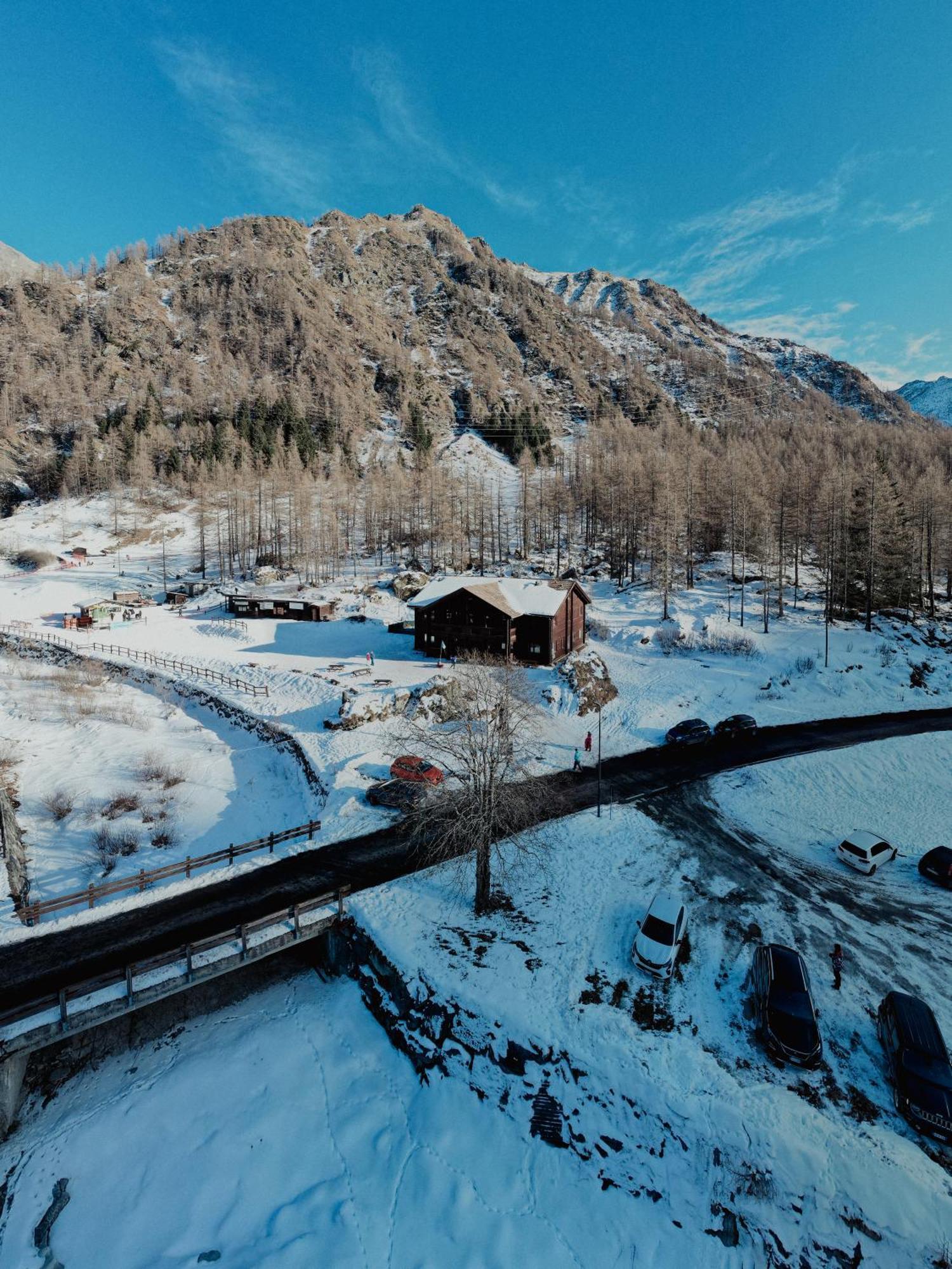 Chalet Rosa Dei Monti Piamprato Dış mekan fotoğraf