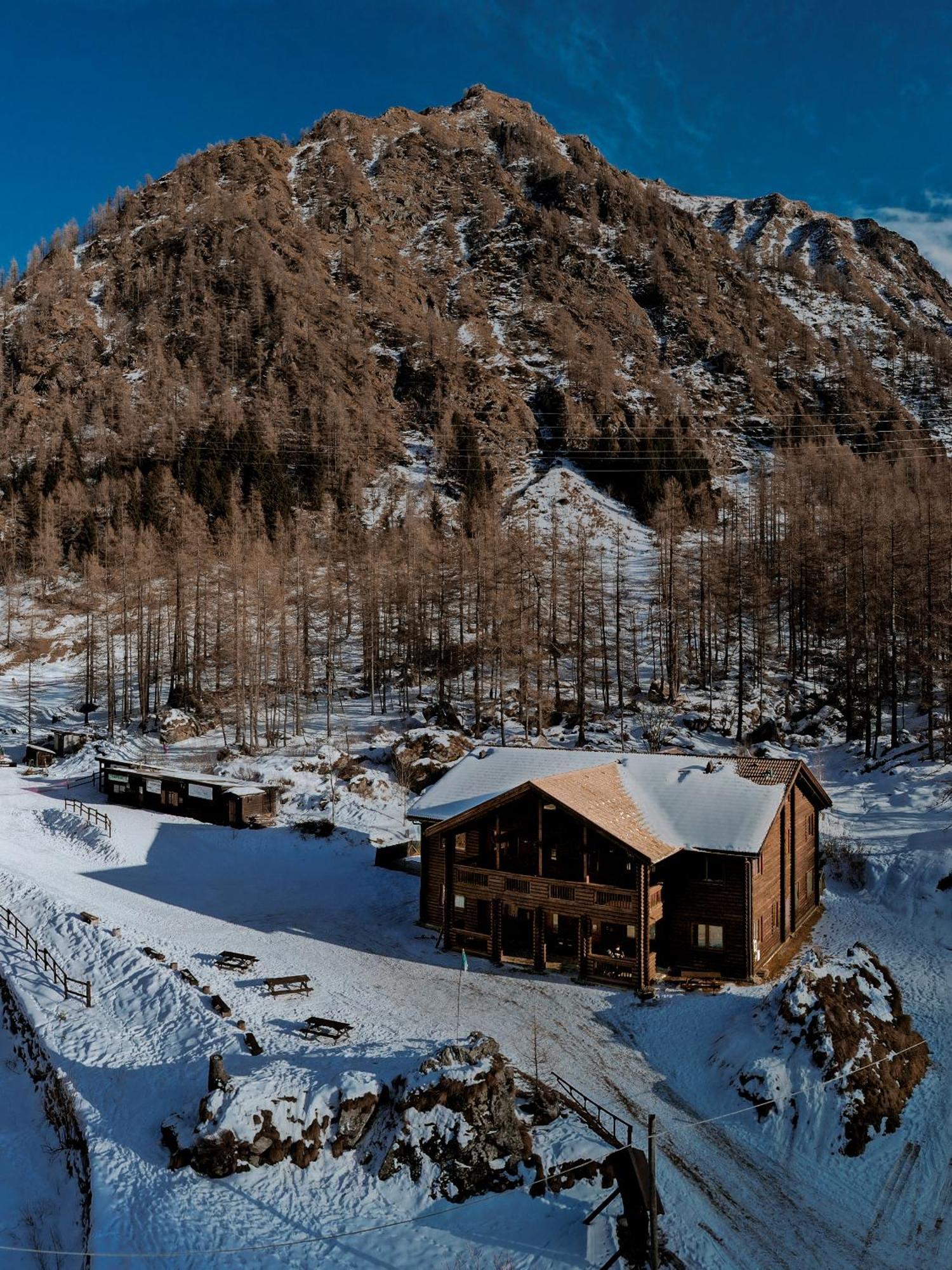Chalet Rosa Dei Monti Piamprato Dış mekan fotoğraf