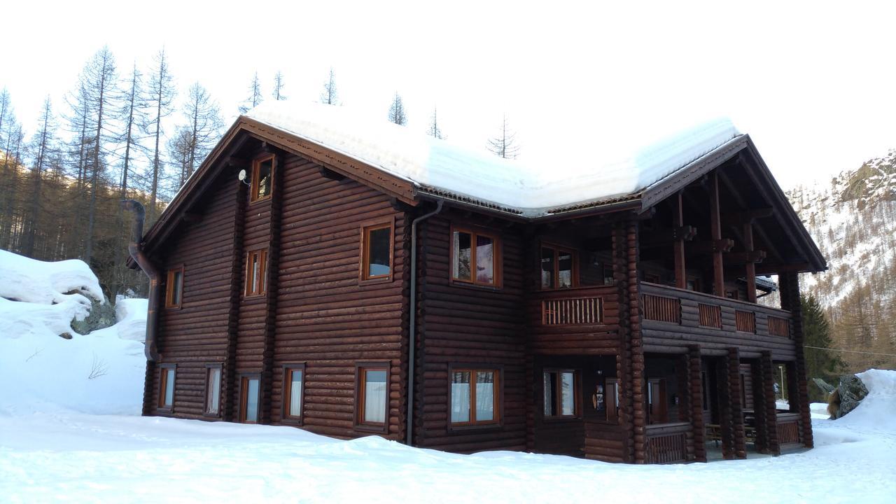 Chalet Rosa Dei Monti Piamprato Dış mekan fotoğraf