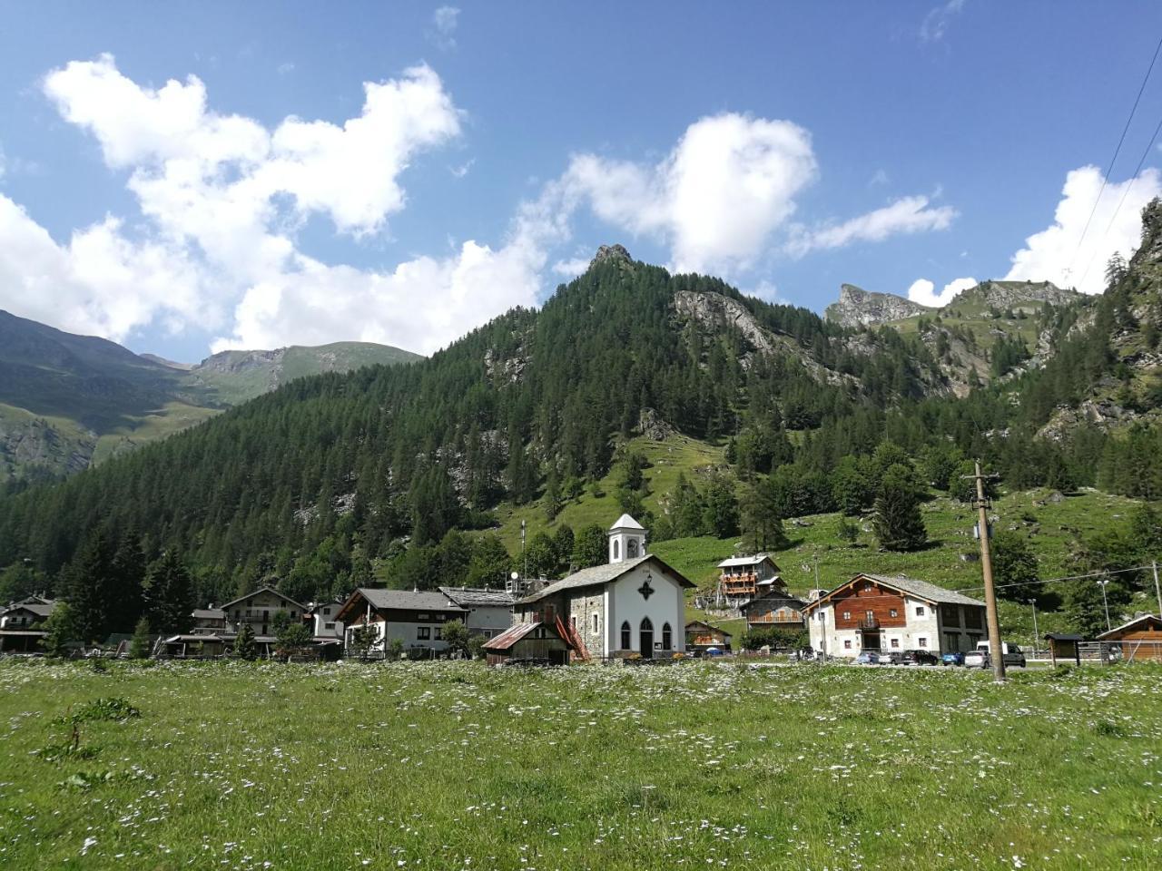 Chalet Rosa Dei Monti Piamprato Dış mekan fotoğraf