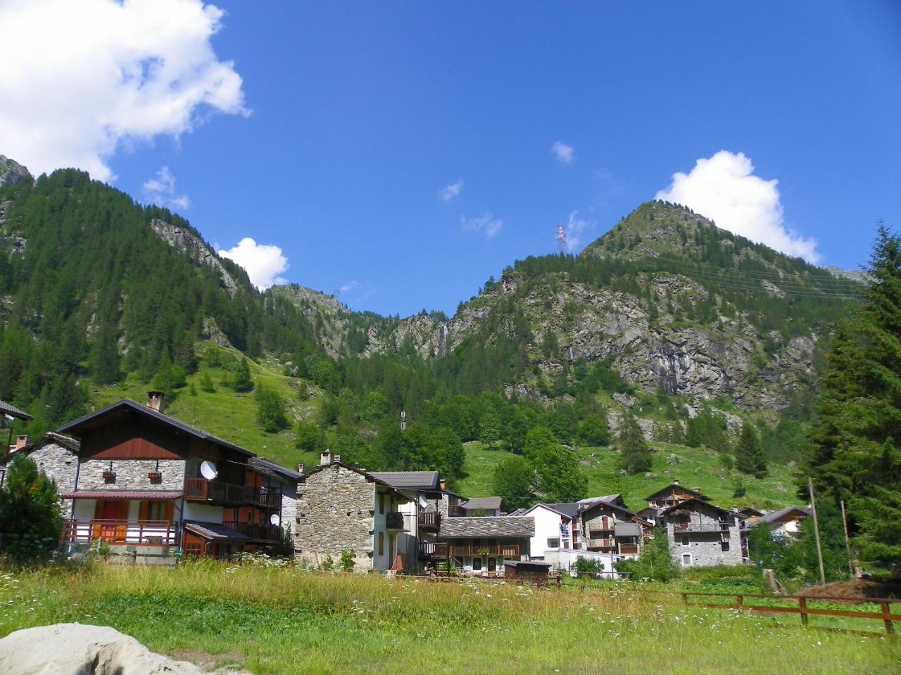 Chalet Rosa Dei Monti Piamprato Dış mekan fotoğraf