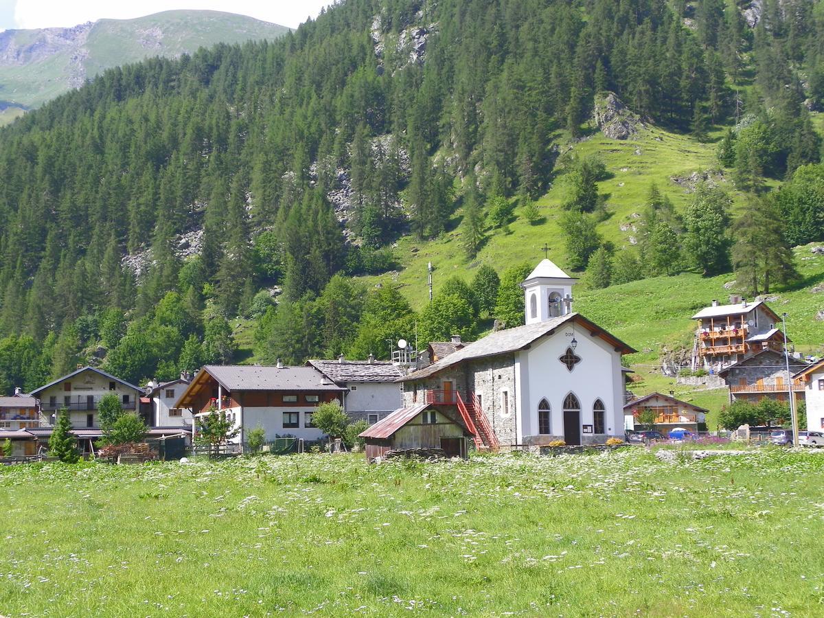Chalet Rosa Dei Monti Piamprato Dış mekan fotoğraf