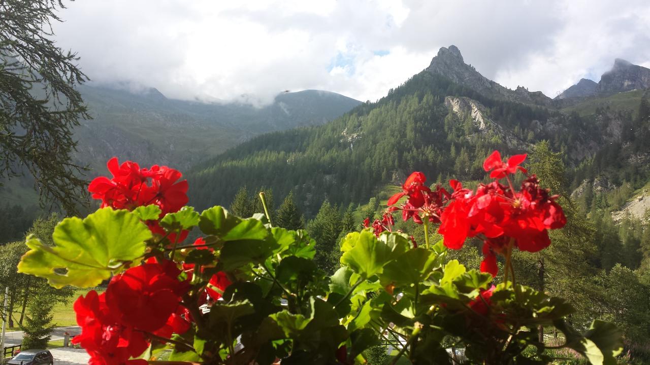 Chalet Rosa Dei Monti Piamprato Dış mekan fotoğraf