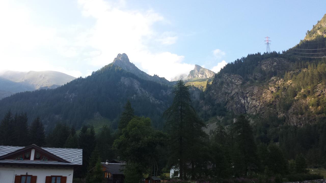 Chalet Rosa Dei Monti Piamprato Dış mekan fotoğraf