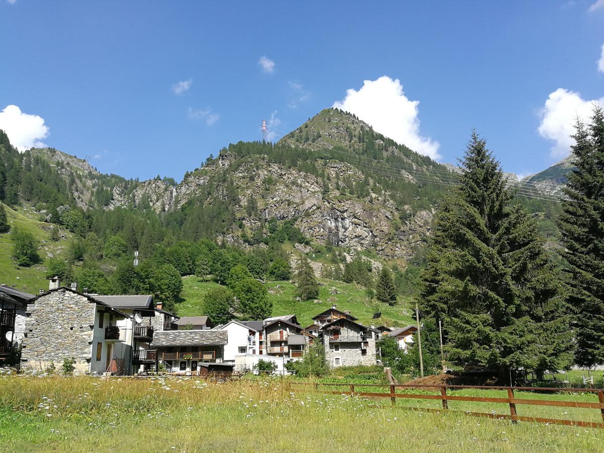 Chalet Rosa Dei Monti Piamprato Dış mekan fotoğraf