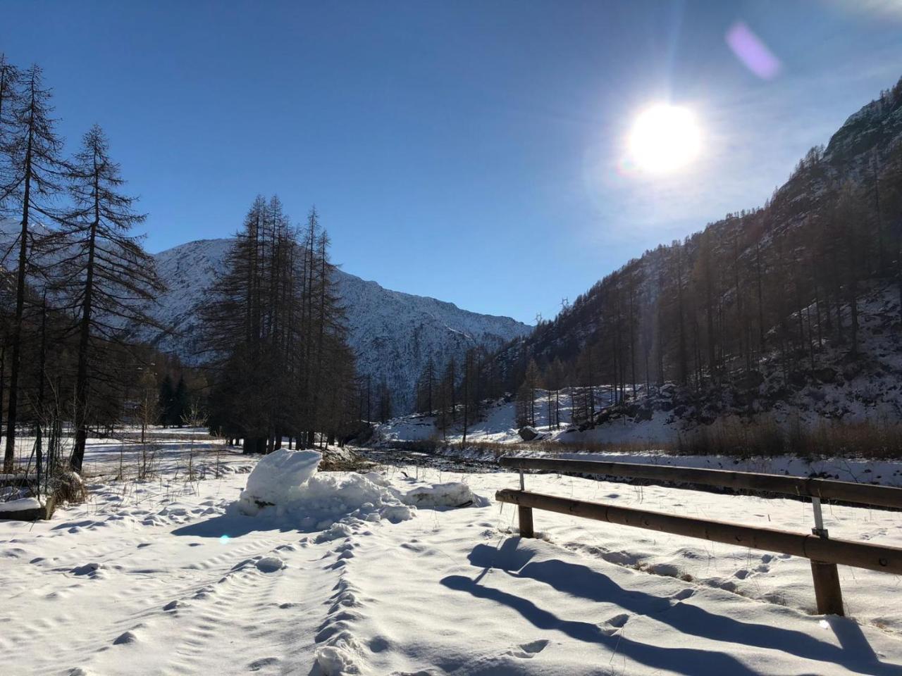 Chalet Rosa Dei Monti Piamprato Dış mekan fotoğraf