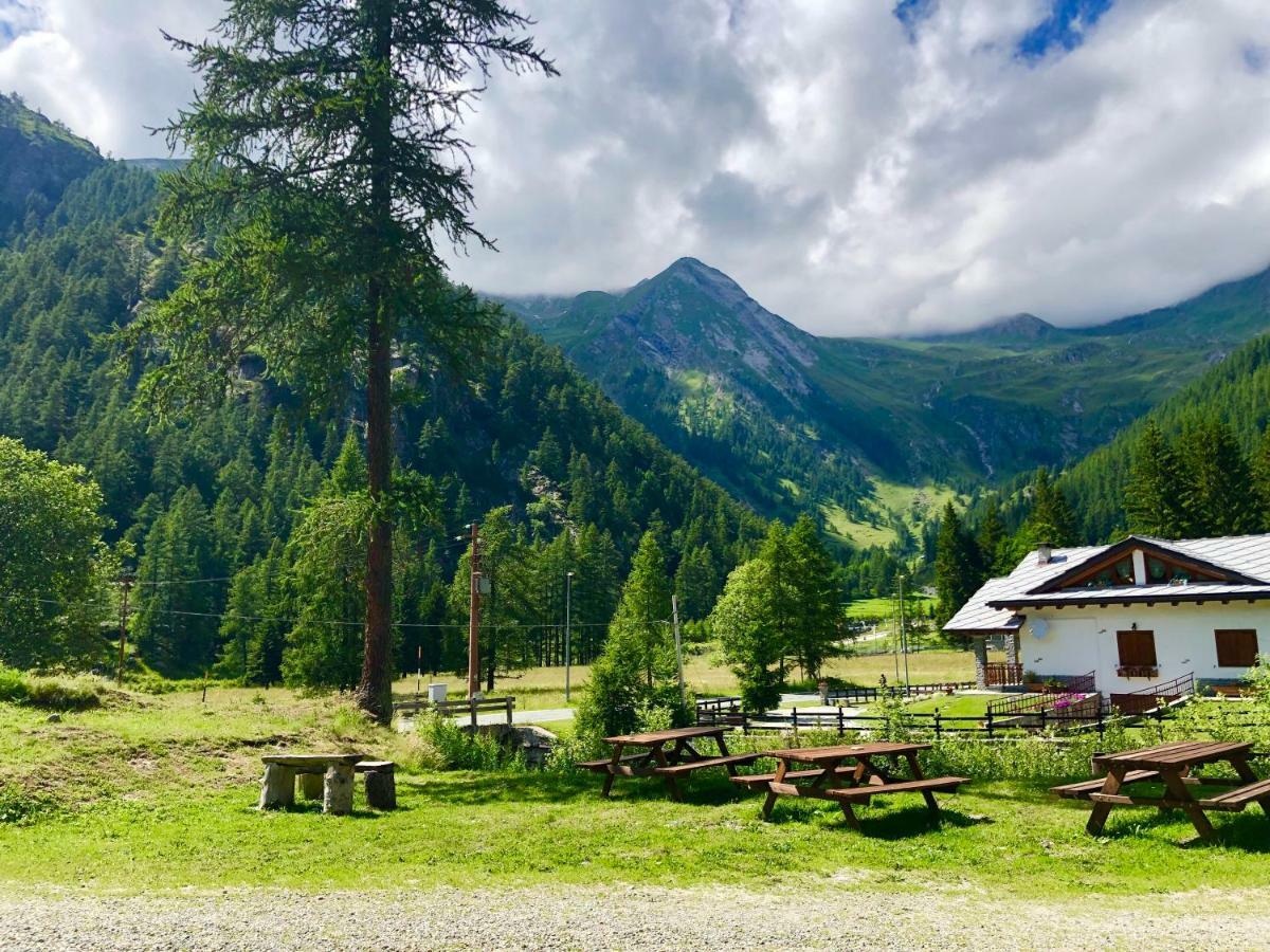 Chalet Rosa Dei Monti Piamprato Dış mekan fotoğraf