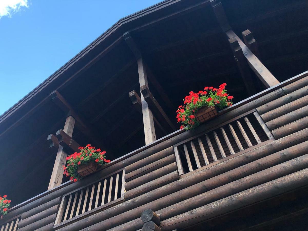 Chalet Rosa Dei Monti Piamprato Dış mekan fotoğraf