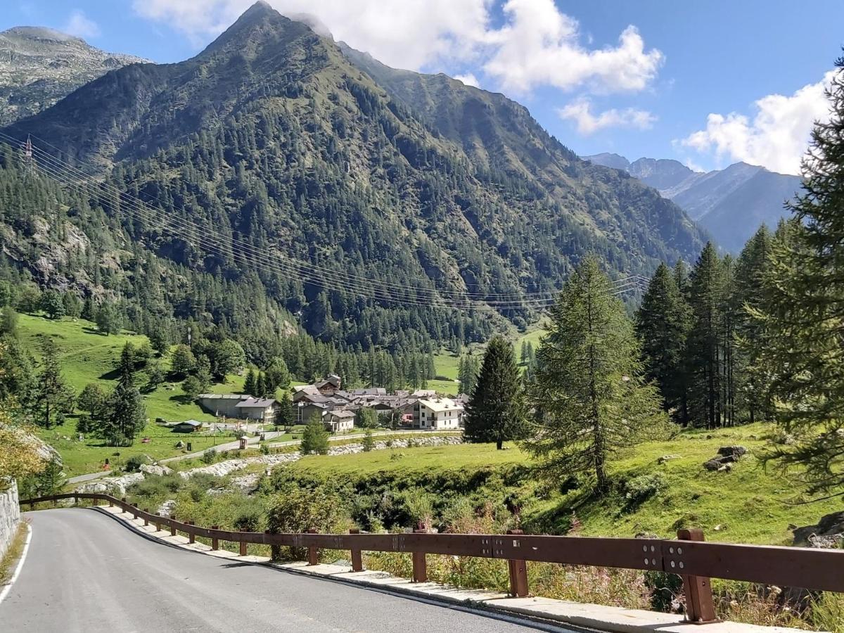 Chalet Rosa Dei Monti Piamprato Dış mekan fotoğraf